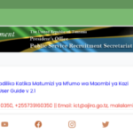 Ajira Portal Job Application Failed | Reasons And Solutions