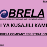 BRELA Company Registration Guide | How to Register a Company