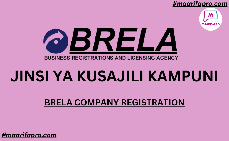 BRELA COMPANY REGISTRATION | JINSI YA KUSAJILI KAMPUNI