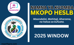 How to apply for HESLB loan in 2025 | All you need to know